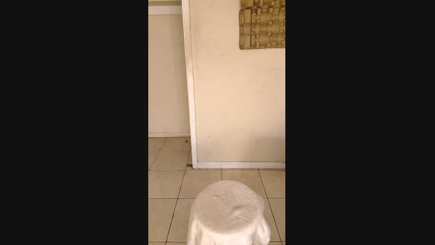 ditboi6 27-02-2025 Recorded Video jerkoff