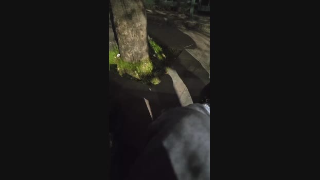 pollen_07 27-02-2025 Recorded Video kink