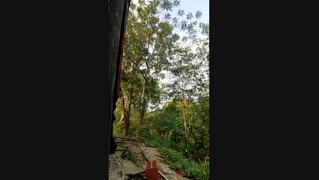 Richard_2 01-03-2025 Recorded Video blowjob