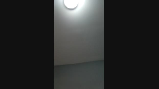 phillanchoret 01-03-2025 Recorded Video bicurious