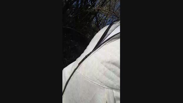 Socke72 02-03-2025 Recorded Video ass