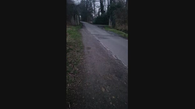 Wiesencoltx 01-03-2025 Recorded Video Recorded