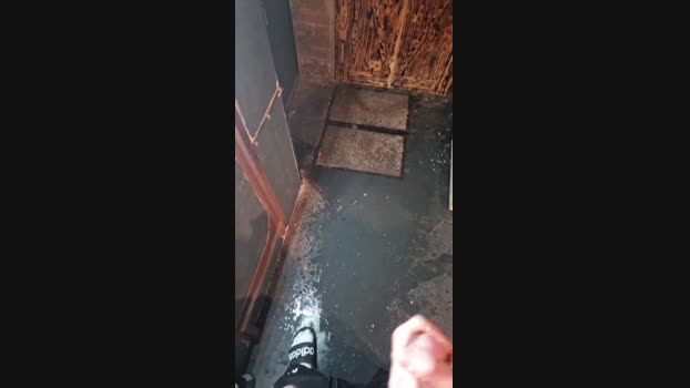 Wiesencoltx 01-03-2025 Recorded Video moan