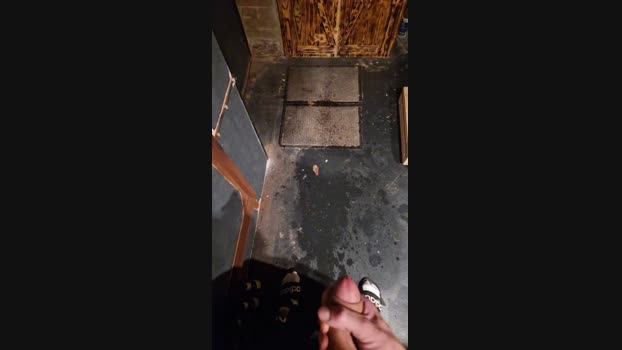 Wiesencoltx 01-03-2025 Recorded Video bigload