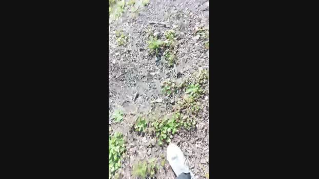 livenews1 02-03-2025 Recorded Video sweet