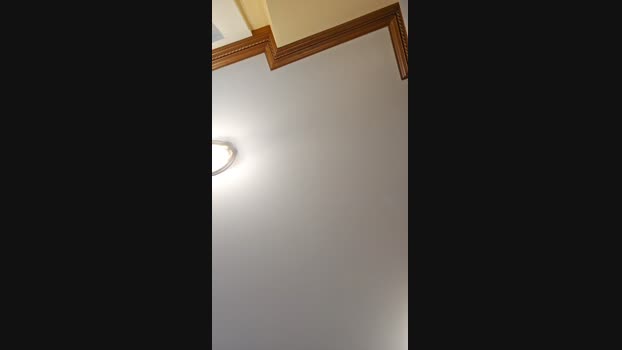 Beardedveteran 02-03-2025 Recorded Video bigcock
