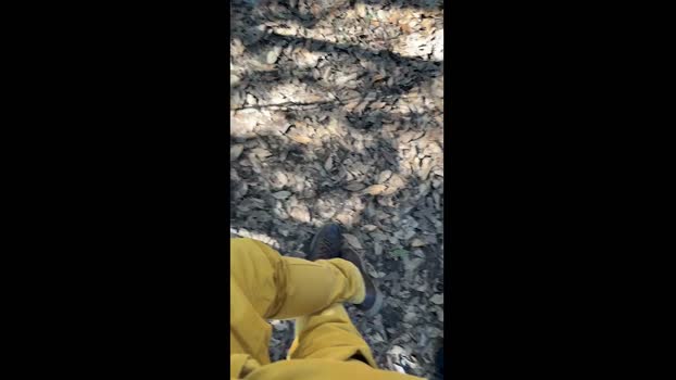 Culo_Fist 03-03-2025 Recorded Video legs