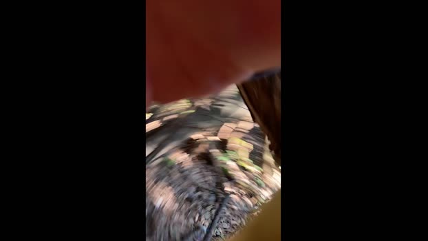 Culo_Fist 03-03-2025 Recorded Video fuckhard