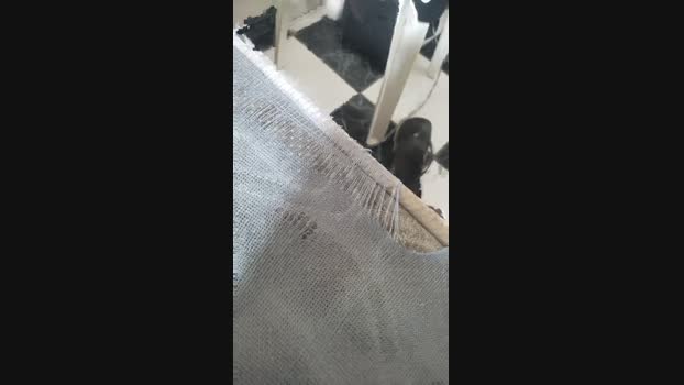 Fetichistahard 03-03-2025 Recorded Video fuck
