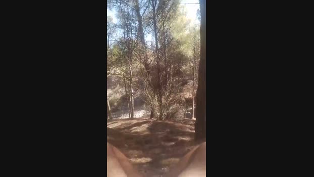 Laoquedad 02-03-2025 Recorded Video lick