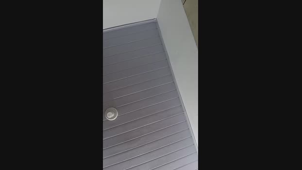 PrincePrincipe 03-03-2025 Recorded Video deep