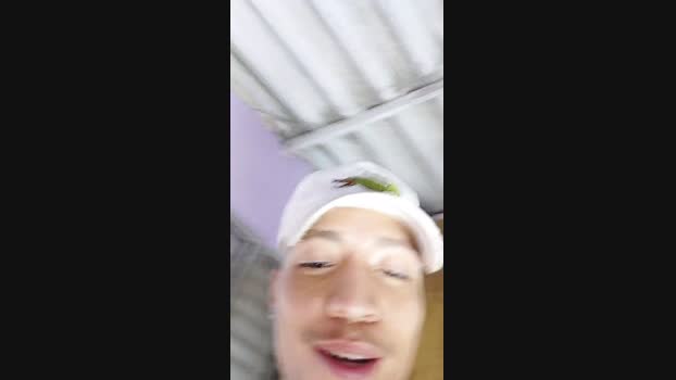 Rol_grandeee 03-03-2025 Recorded Video Ass