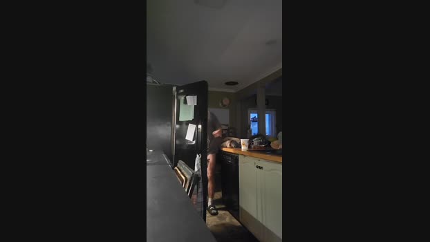 4_Fox_sakes 04-03-2025 Recorded Video dirty