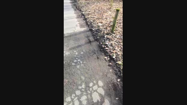 Endi7777 05-03-2025 Recorded Video Recorded