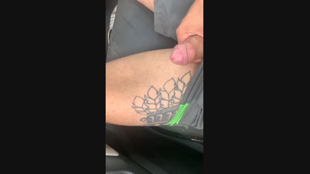 Royal_Lion 04-03-2025 Recorded Video jerkoff