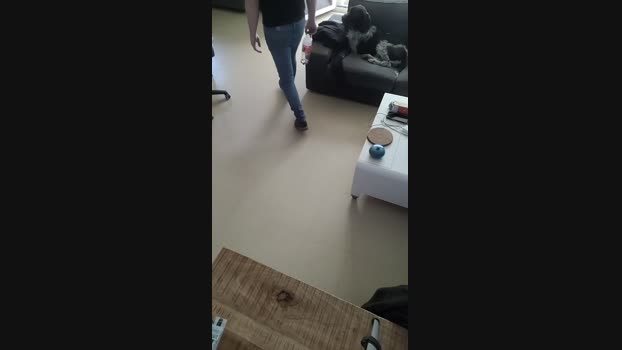 tomsauwer 05-03-2025 Recorded Video love