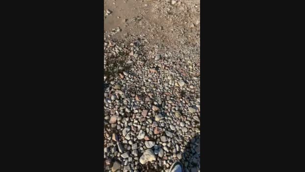 Danyblack1985 06-03-2025 Recorded Video squirt