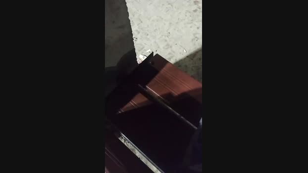 Fabio6576 06-03-2025 Recorded Video toys