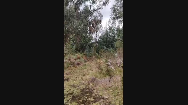 Yose1991 05-03-2025 Recorded Video beautiful