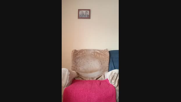 _el__gato_ 06-03-2025 Recorded Video hard