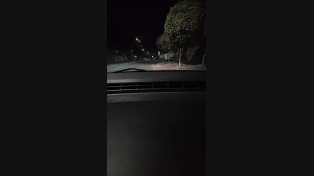 Uber_dotCwb 08-03-2025 Recorded Video prettyface