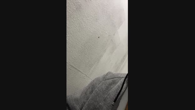 Blackpointx 09-03-2025 Recorded Video fuckhard