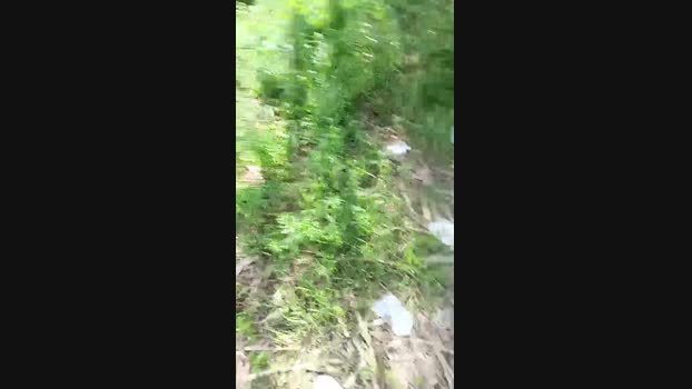 livenews1 09-03-2025 Recorded Video wank