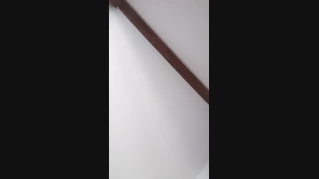 misterman244 09-03-2025 Recorded Video jerkoff