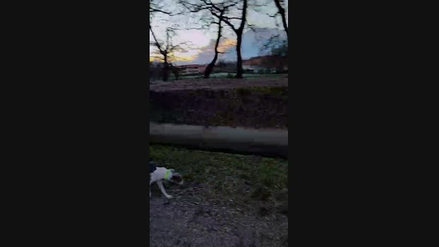 HuGo4K 09-03-2025 Recorded Video gag