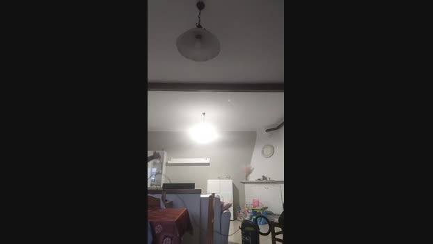 michaelgrandi23 09-03-2025 Recorded Video lovense