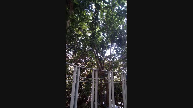 raul4396624 09-03-2025 Recorded Video wank