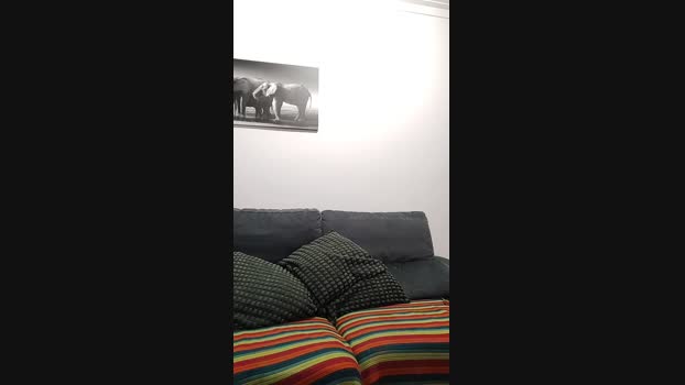 BrHornycouple 11-03-2025 Recorded Video ass