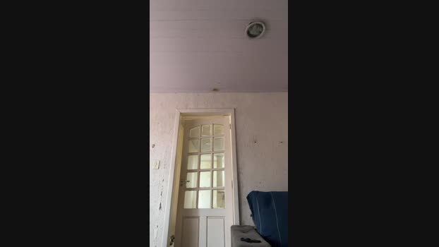nuneszinhoo 11-03-2025 Recorded Video hot