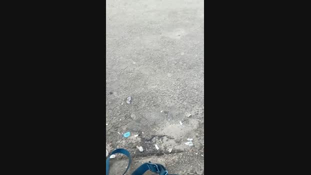 Maltratosubmiss 12-03-2025 Recorded Video cute