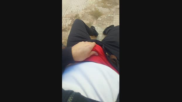 Heteromeztizo