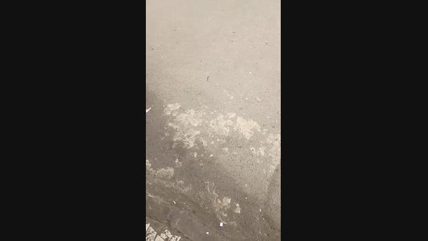 Maltratosubmiss 15-03-2025 Recorded Video harddick