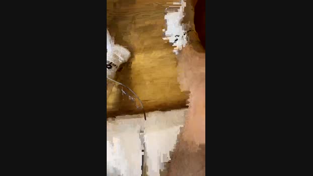 Manu97k 15-03-2025 Recorded Video big