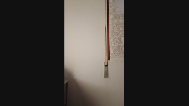 alex94194 16-03-2025 Recorded Video strip