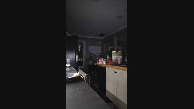 4_Fox_sakes 17-03-2025 Recorded Video jerking