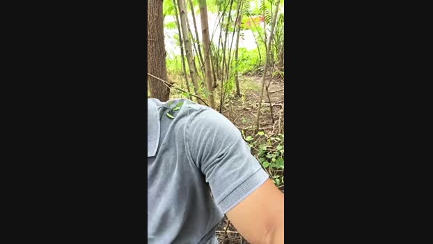 _ALLADYN_ 16-03-2025 Recorded Video amateur