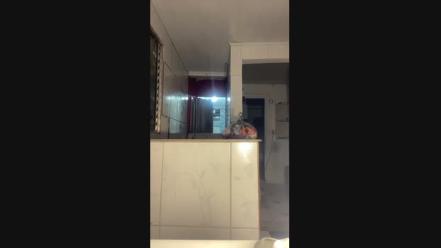 BlackDelToro 17-03-2025 Recorded Video Nude