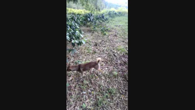 Clark_Jhonz 16-03-2025 Recorded Video sweet