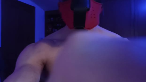 Frabroker 17-03-2025 Recorded Video bicurious