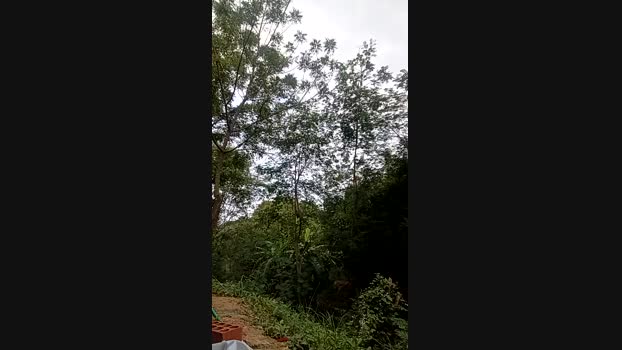 Richard_2 17-03-2025 Recorded Video legs