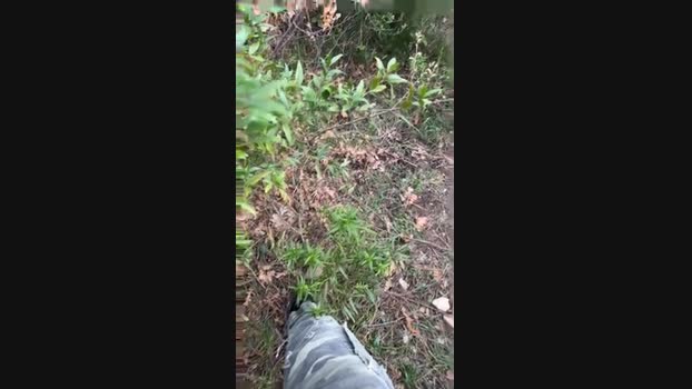 Zorro2024 16-03-2025 Recorded Video dirty