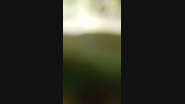 exhibius 18-03-2025 Recorded Video analtoy
