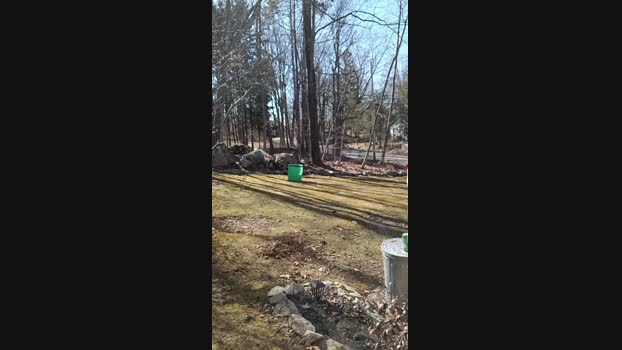 Curiousofsomuch 18-03-2025 Recorded Video play