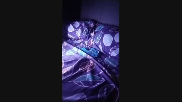 AriesV04 19-03-2025 Recorded Video amateur