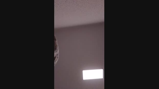 BoyBlondSweet 19-03-2025 Recorded Video nasty