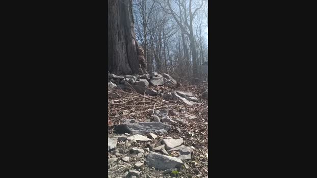 Curiousofsomuch 19-03-2025 Recorded Video kink